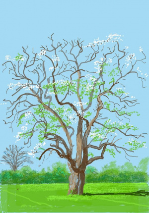 Peinture arbre.jpg
