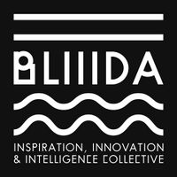 Logo BLIIIDA.jpg