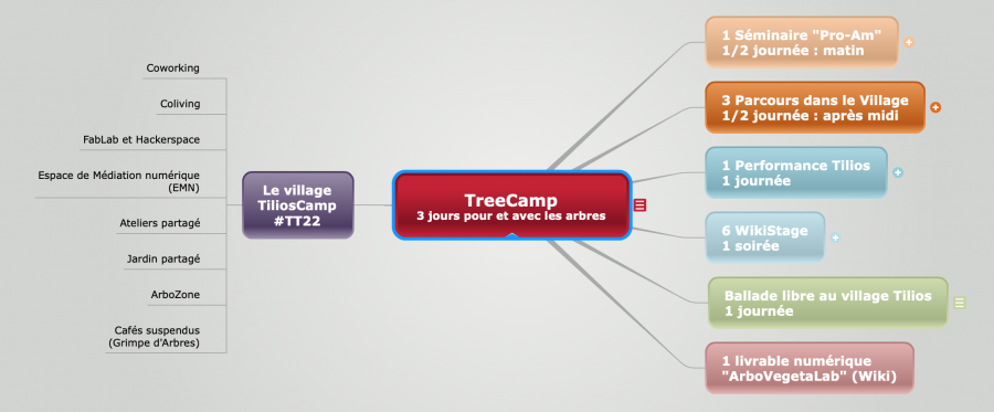 TreeCamp2.png
